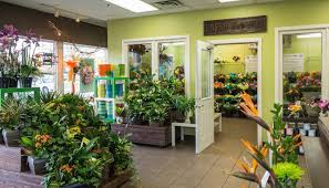 Forest of flowers designs custom floral arrangements to suit any occasion, including personal occasions, corporate needs. Forest Of Flowers Tourism London