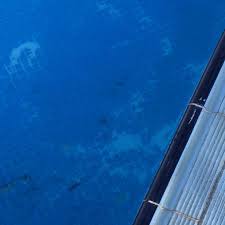 Unfortunately some colonies become chlorine resistant which means that you will. White Powder On Bottom Of Pool Chlorine Picture Of Muthu Playa Varadero Hotel Cuba Tripadvisor