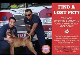 This app is available for free on our website and will soon be on our ios app. El Paso Pet Finder And Adoptions Facebook