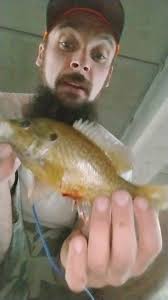 I have my own theme song now. I'm not gonna lie its actually pretty awesome  😎 follow us