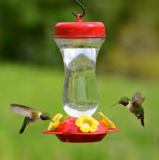Hummingbirds are one of the most. Perky S Finest 16 Oz Top Fill Glass Hummingbird Feeder 131tf