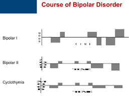3 1 Bipolar Disorder Flashcards Quizlet