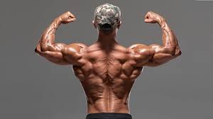 Related online courses on physioplus. 5 Best Exercises For A Strong Lower Back The Trend Spotter