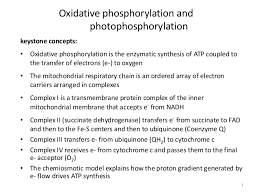 Oxphos