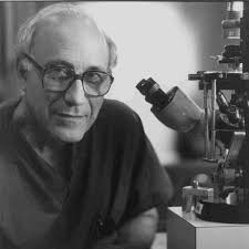 CELL CYCLE AND DIFFERENTIATION IN GIARDIA LAMBLIA David S. Reiner