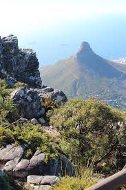 Table Mountain Experience Sudafrika Reisen Sudafrika Landschaft Und Sudafrika Kapstadt