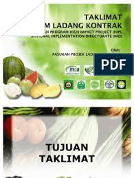 Anda juga dapat menikmati musang king di jualan kilat shocking sale pada harga rm10. Fama Ladang Kontrak