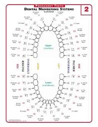 39 best dental charting images in 2019 dental dental