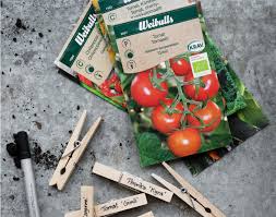 Check spelling or type a new query. Odla Tomater Sa Lyckas Du Med Din Tomatodling Hemma Weibulls