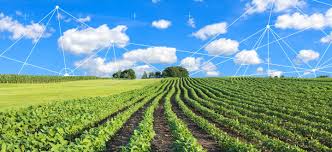 Interplanting helps reduce pest and. Crop Protection For Agricultural Pests Mgk Insect Control Solutions