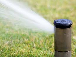Toro bowling green irrigation sprinkler owners manual vision 1. New Growth After Flooding Devastation Project Ods