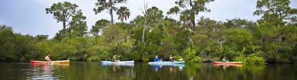 Welcome To Werner Boyce Salt Springs State Park Werner