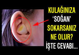 kulaginiza sogan sokarsaniz ne oluyor 4 kulak ugultusuna cinlamasina agrimasina son kulak vucut icin kritik bir organ n saglik dogal saglikli yasam tarzi