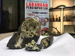 49m zahir nordin nasi kandar. Maqis Rampas Batu Kristal Seludup Seberat 6 83 Kilogram