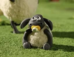 Shaun Das Schaf So Schnell Ist Der Kleine Timmy Wieder