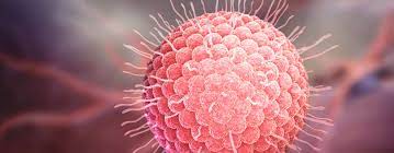 Varicella is a common childhood illness, characterized by fever, viremia, and scattered vesicular lesions of the skin. Varicella Zoster Virus 2020 Symptome Ubertragung Behandlung Hygiene In Practice