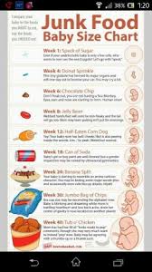 How Big Is Your Baby This Week Babycenter