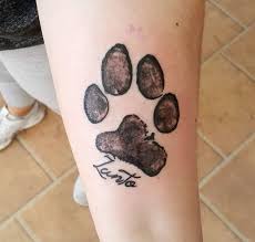 35 36 $36.00 free shipping by amazon 70 Best Paw Print Tattoo Ideas For Dog Lovers Page 2 Of 15 The Paws