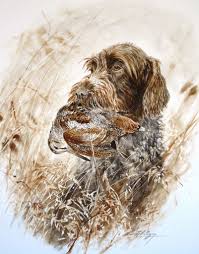 Peintures Art Et Chasse Art Animalier Art Animalier Dessin Chasse Animalier