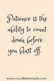 Patience Quotes on Pinterest | Quotes About Sacrifice, Freedom ... via Relatably.com