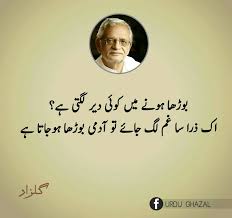 Aaee Haae Dard Ka Rishta Bhi Naseeb Walo Ko Milta Hai Feelings Words Quotes From Novels Ali Quotes People read khamoshi shayari when they feel hurt and ignored. dard ka rishta bhi naseeb walo ko milta