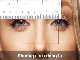 Khoảng cách đồng tử là gì? Hướng dẫn kiểm tra khoảng cách đồng tử - Nhà  thuốc FPT Long Châu