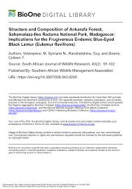 Image result for Erythroxylum platycladum