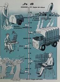 Si può congelare il cavolo nero crudo? Decibel Che Cos E E Che Cosa Sentiamo