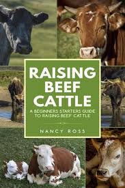 Raising Beef Cattle A Beginner S Starters Guide To Raising Beef Cattle Ebook By Nancy Ross Rakuten Kobo In 2020 Beef Cattle Raising Cattle Cattle