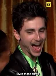 Timothee Chalamet Lil Timmy Tim