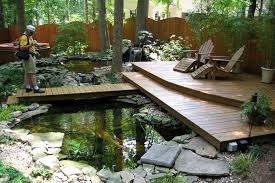 8 Keuntungan Rahasia Punya Kolam Ikan Koi Di Rumah