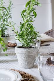 Let your terra cotta pot dry and then pot your favorite plant (real or faux). How To Create A Concrete Finish On Terra Cotta Pots Pine And Prospect Home