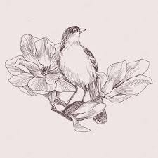 With pencilcraft brushes you don't have to care about its length, there are no stretched strokes anymore! Hand Drawn In Illustrator With Charcoal Brushes To Create An Effect Of Pencil Drawing Premium Vector In Adobe Illustrator Ai Ai Format Encapsulated Postscript Eps Eps Format