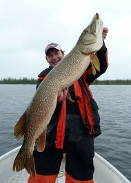 He is the producer and host of the television series chasing monsters, an adventurous fishing related show where viewers follow his adventures in search of the largest fishes in the world. Cyril Chauquet Wall Of Celebrities