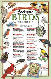 Birds Of North America Poster Pdf Download Of Backyard Birds Checklist Poster Mrs J In The Library S Note Great Visual For A Backyard Birds Backyard Birds Watching How To Attract Birds