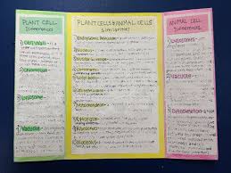 Maybe you would like to learn more about one of these? Burgess Lauren Unit 4 Cells