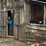 Bolivia: el Senado exige informe a la Presidencia por la situación crítica del Pueblo Indígena Ese Ejja de Eyiyoquibo