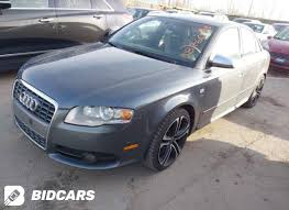 Image result for Dolphin Gray 2006 S4