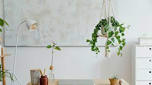 All that's needed are beautiful plant containers, hangers, a few tools and the right ceiling hooks. How To Hang Houseplants From The Ceiling In 5 Simple Steps 2021 Masterclass