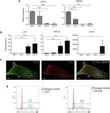Yù luóchà), is the protagonist of the novel. Modeling Doxorubicin Induced Cardiotoxicity In Human Pluripotent Stem Cell Derived Cardiomyocytes Scientific Reports