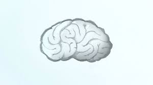 Graffiti drawing comics cartoon illustration, cartoon graffiti brain, cartoon character, people, cartoons png. How To Draw A Brain 14 Steps With Pictures Wikihow