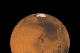 You can also upload and share your favorite mars wallpapers. Life On Mars New Scientist