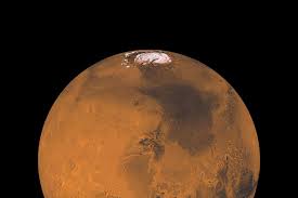 The mars global surveyor cleared things up for good in 2001 by taking a fresh image of the face. Life On Mars New Scientist