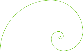 Fibonacci Spiral Fibonacci Spiral Fibonacci Geometric Designs