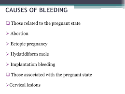 A doctor will probably order blood tests and conduct vaginal. What Causes Bleeding During Pregnancy In The First Trimester