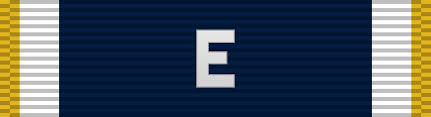 A sea service ribbon is an award of the united states navy, u.s. Navy E Ribbon Military Wiki Fandom
