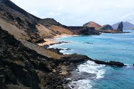 Galápagos: Surga Bawah Laut Warisan Dunia, Wajib Dikunjungi!