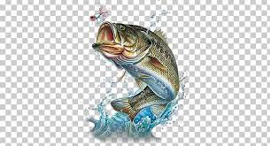 Largemouth Bass Bass Fishing Png Bass Bass Fishing Drawing Fauna Fish In 2020 Largemouth Bass Bass Fishing Fish Wallpaper