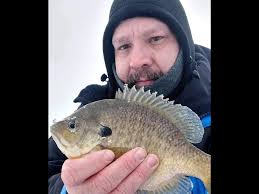 Ramsey ice show features hook tool