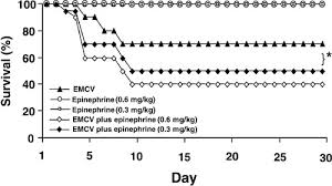 P., bottaro s., iliceto s. Propranolol Ameliorates And Epinephrine Exacerbates Progression Of Acute And Chronic Viral Myocarditis American Journal Of Physiology Heart And Circulatory Physiology